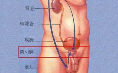 哪个医院的前列腺增生治疗比较好